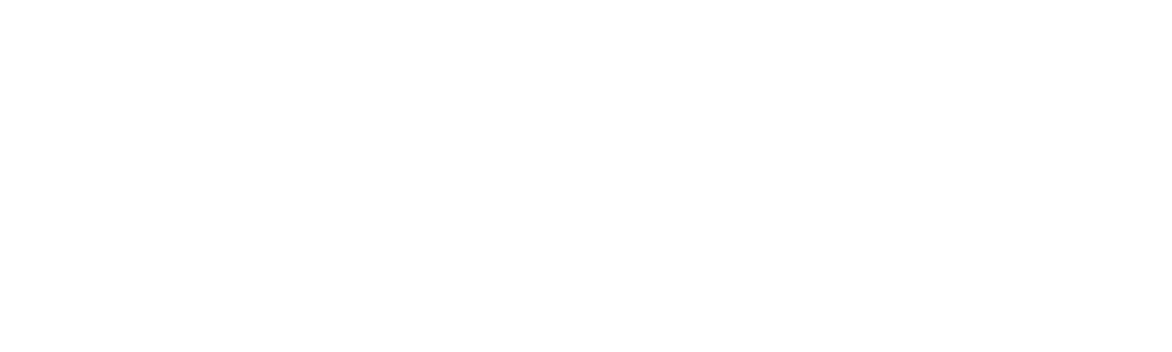 Basamak Bilişim